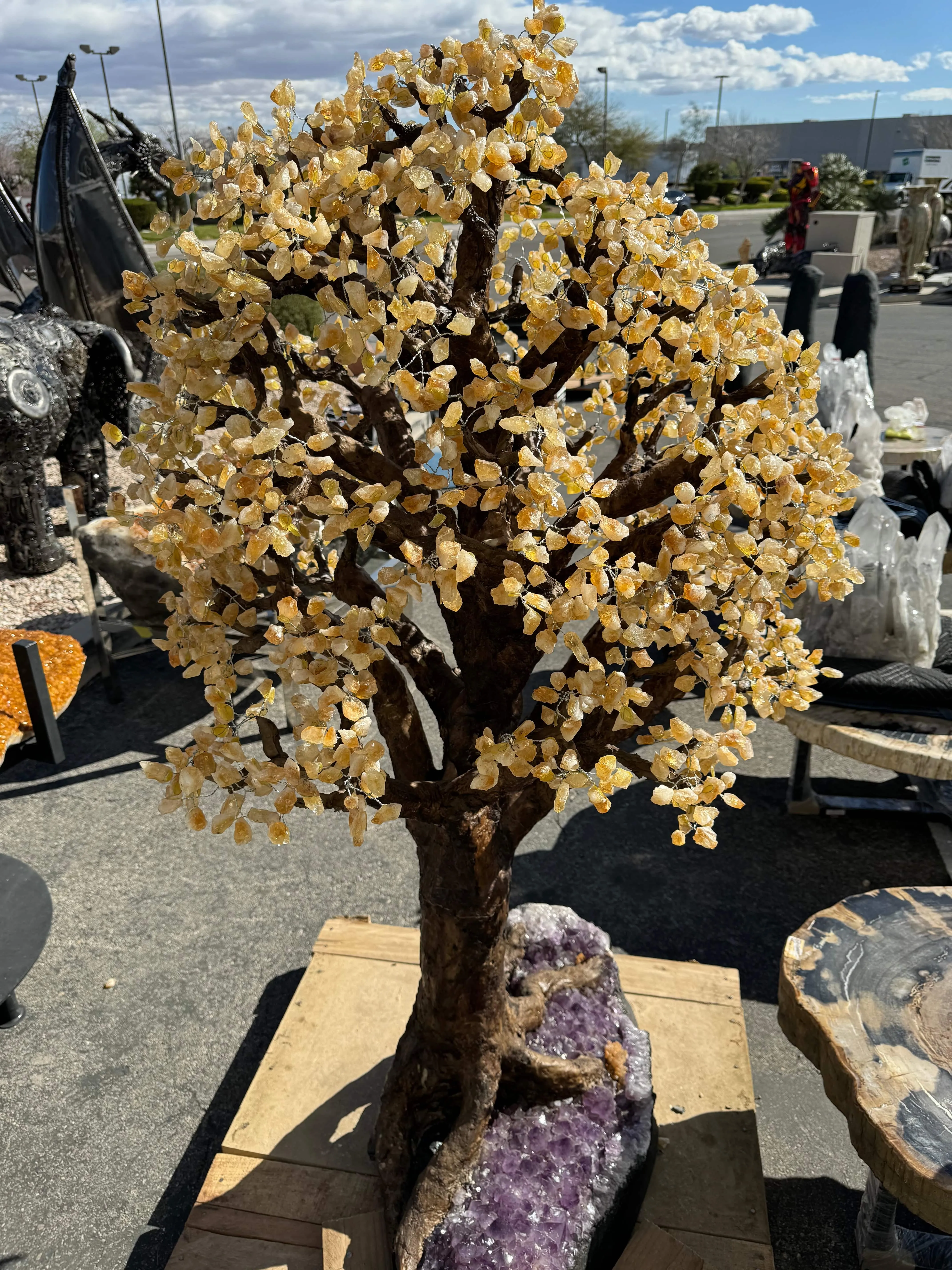 Citrine Gemstone Tree on Amethyst Geode Bass from Brazil - 65