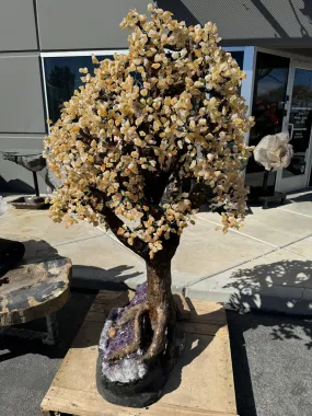 Citrine Gemstone Tree on Amethyst Geode Bass from Brazil - 65