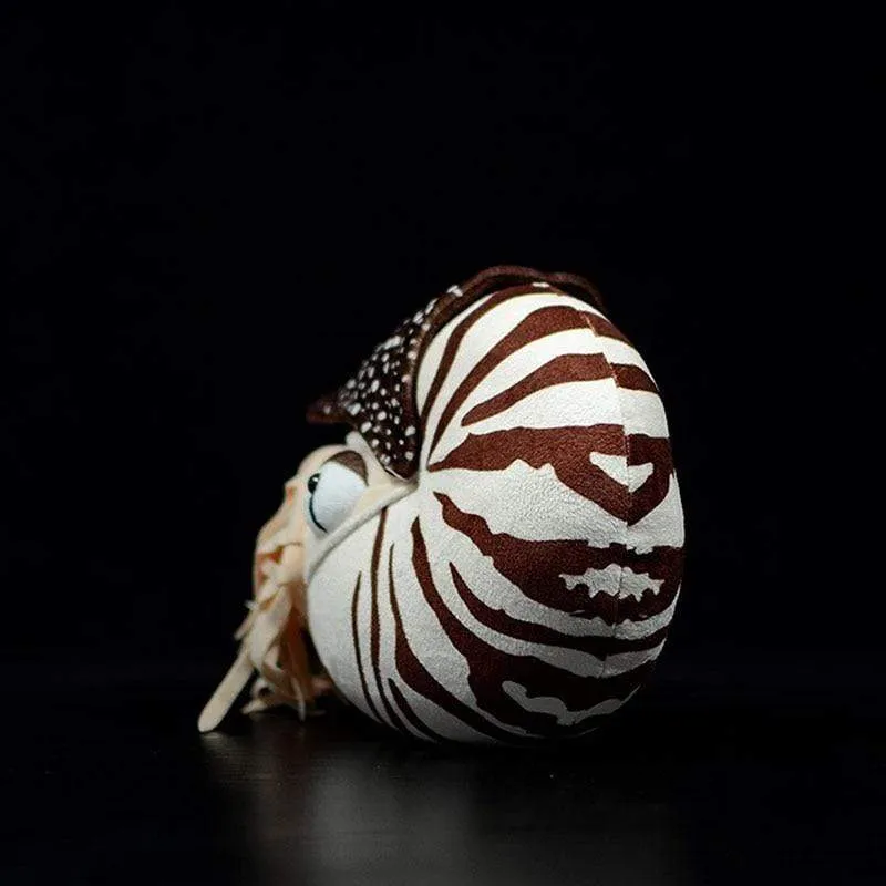 Lifelike Nautilus Plush Toys Real Life Chambered Nautilus Stuffed Animal Toy Soft Sea Life Toys Gifts For Kids