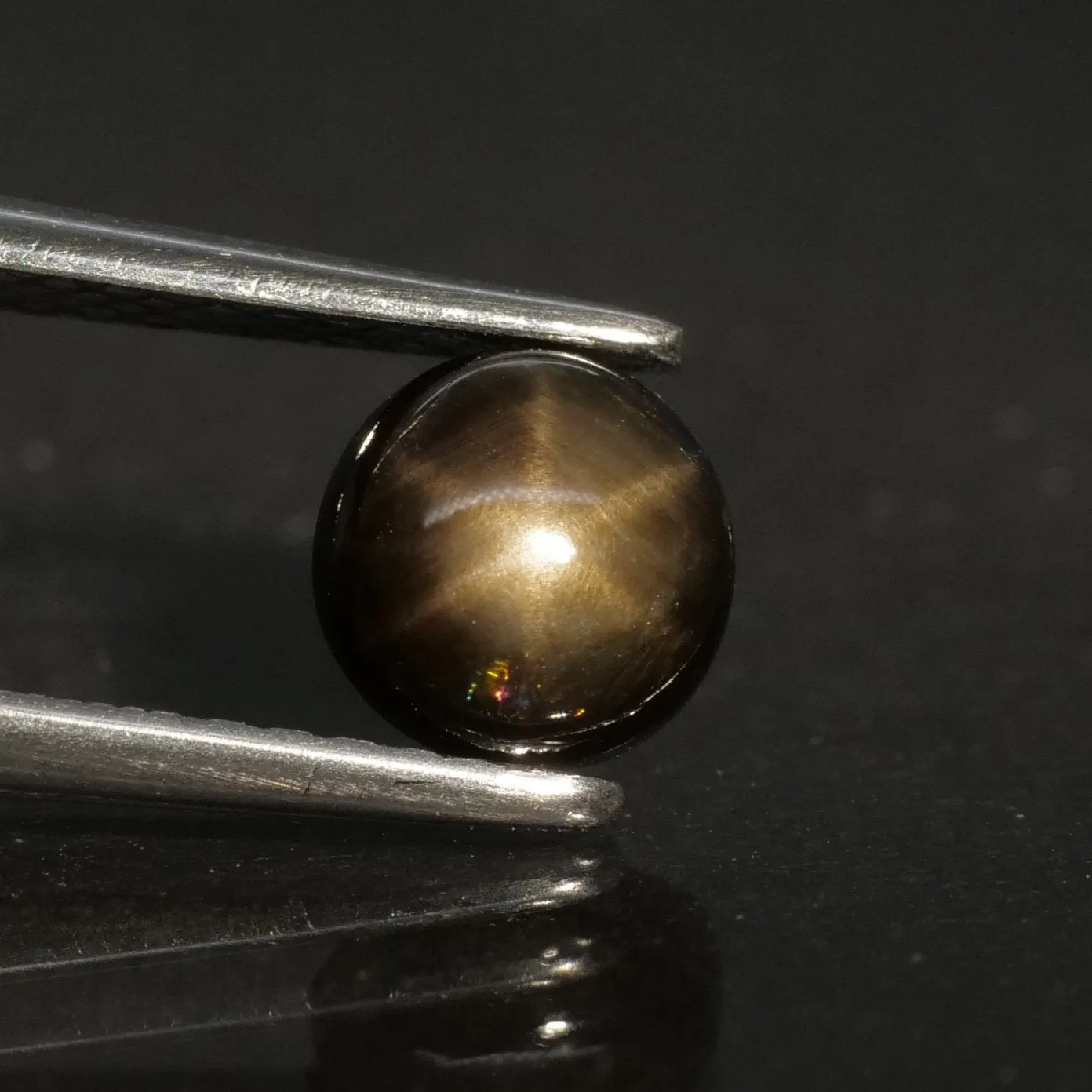 Sapphire | black, star effect, round cut 5.5mm, 0.75 ct