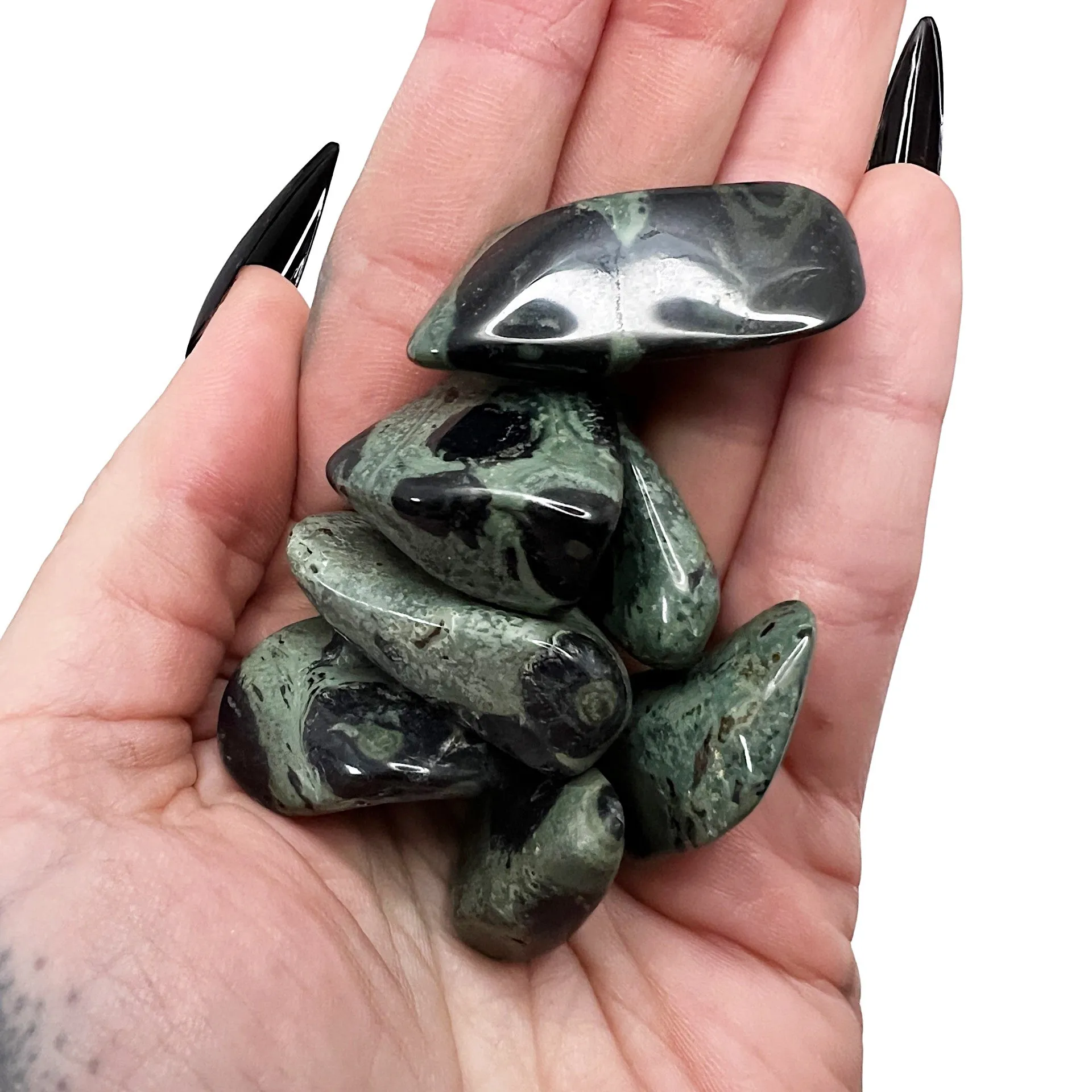 Swamp Witch: Kambaba Jasper Pocket Pebble